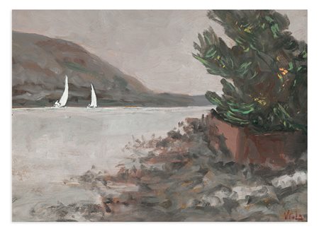 VIOLA - Senza Titolo, 1980