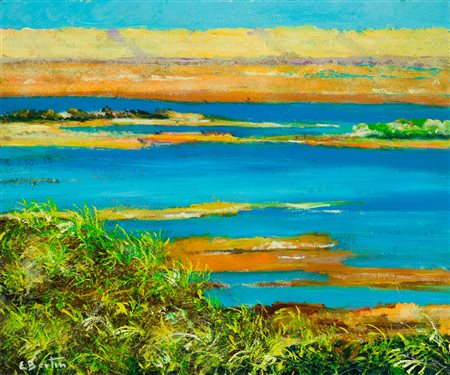 EUGENIO BERTIN (1950) - Lago salato di Zaituma a Siwa (Sahara egiziano), 2001