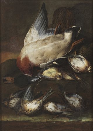 ARTISTA DEL XVII SECOLO  - Natura morta con cacciagione. .