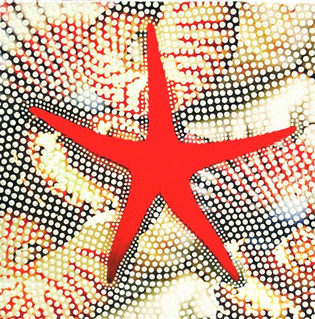 Marco Veronese (1962) FOSSILI CONTEMPORANEI silicone su fotografia, cm 70x70...