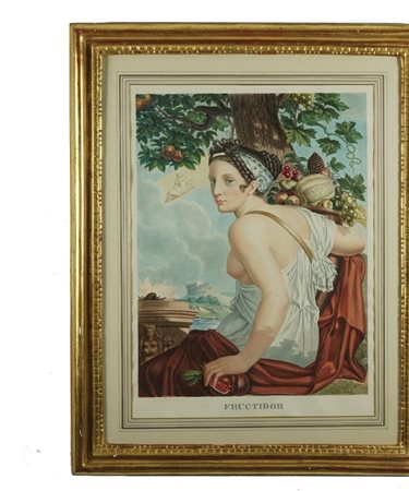 Pittore del XIX secolo Fruttidoro acquarello su carta, cm. 64x49