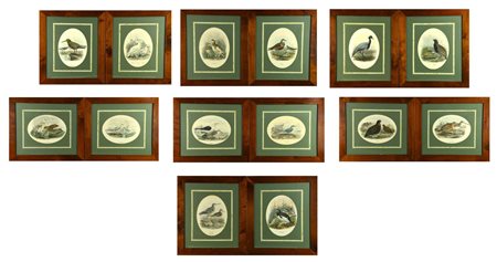 Scuola Francese del XIX secolo VOLATILI stampe, cm 30x44 ciascuna (14)