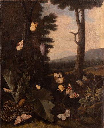Scuola olandese del XVII secolo ( - ) 
Paesaggio con farfalle e serpente 
olio su tela cm 57x46