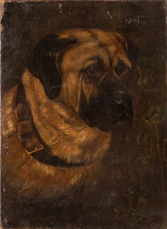 Palizzi, Filippo (Vasto, 1818 - Napoli, 1899) 
Testa canina 
Olio su tela cm 40x29