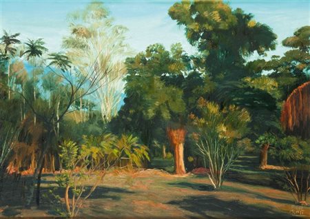 MONTI PIERO Torino 1910 - 1994 Vegetazione a Rio de Janeiro 50x70 olio su...