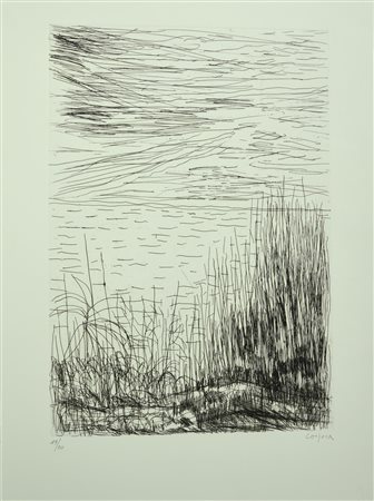 Antonio Corpora CANNETO VARIAZIONE NERA acquaforte, mm 496x345, su foglio cm...