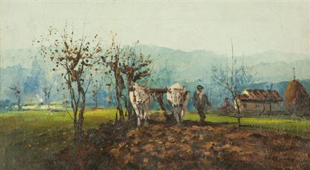 Ferruccio Rontini Contadino e buoi Olio su tela, cm. 33x58 Firmato in basso a...