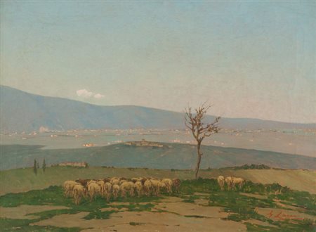 Giovanni Lomi Gregge Olio su tela, cm. 60x80 Craquelure sulla superficie...