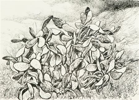 Renato Guttuso Fichi d'India, 1974 China su carta, cm. 35,5x49 Firma e data...