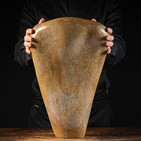 OMERO DI BRONTOSAURO