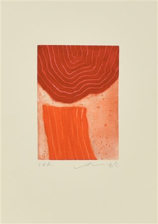 Chin Hsiao VERSO IL GIARDINO ETERNO acquaforte acquatinta su carta, cm...