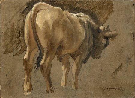 UMBERTO COROMALDI (Roma, 1870 - 1948): Bue