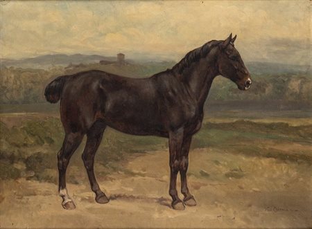 ENRICO COLEMAN (Roma, 1846 - 1911): Cavallo   