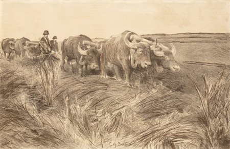 GIULIO ARISTIDE SARTORIO (Roma, 1860 - 1932): Bufali 