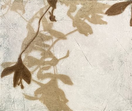 FRACASSIO GAETANO Milano (Mi) 1962 Riflessioni 2013 Olio e pigmenti puri su...