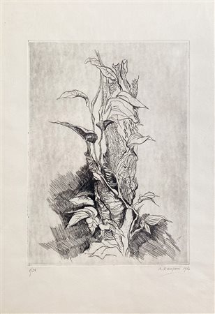 RAMPONI ANTONIA Milano (Mi) 1915 Senza titolo 1967 Incisione su carta es....