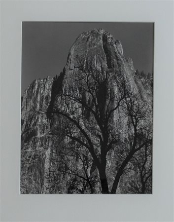 ANSEL ADAMS Sentinel Rock, Oak Tree, 1949