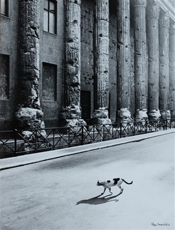 PEPI MERISIO Essere gatto a Roma, 1972