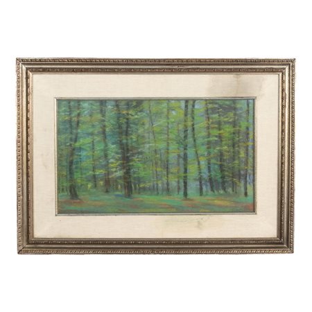 Boschetto d'alti fusti