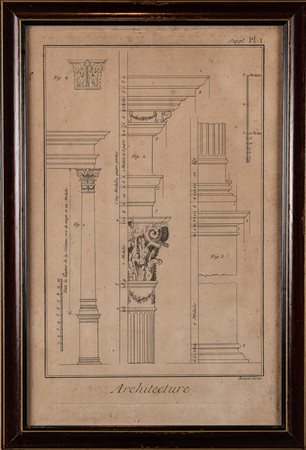 Stampa con studio di un capitello corinzio, XX secolo, cm 40x25, entro cornice