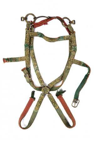 Filetto con rara briglia e pettorale da cavallo