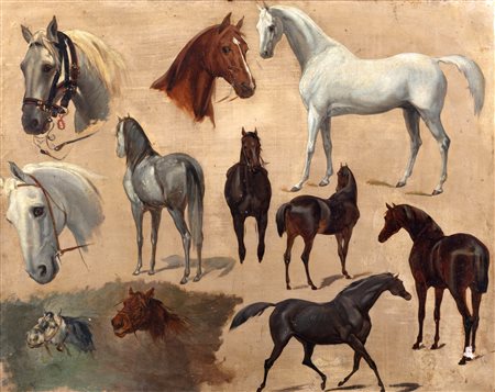 Scuola italiana, secolo XIX (1:Principale) - Studi di cavalli