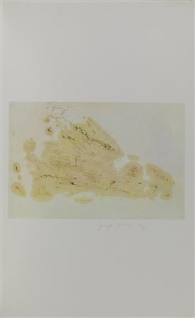 BEUYS JOSEPH (1921 - 1986) - Coniglio.