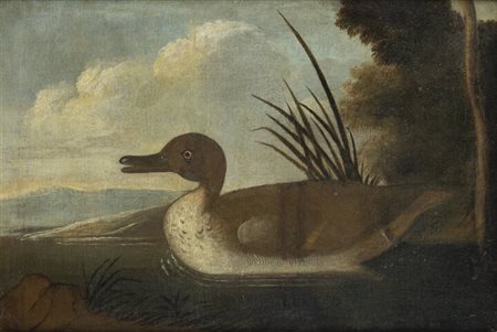 PITTORE ANONIMO<BR>"Anatra"