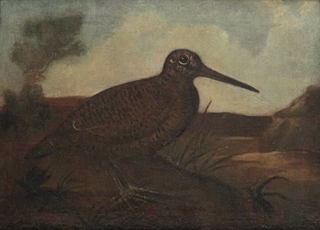 PITTORE ANONIMO<BR>"Beccaccia"