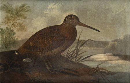 PITTORE ANONIMO<BR>"Beccaccia"