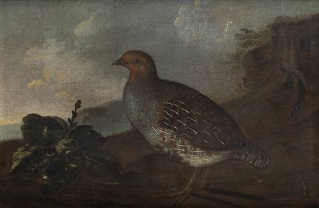 PITTORE ANONIMO<BR>"Quaglia"