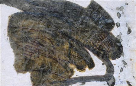 RENATA BOERO (1936) Senza titolo, 1994 Tecnica mista su carta, cm. 44 x 65...