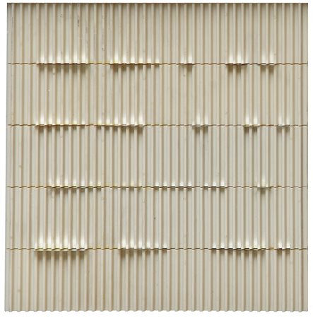 COSTALONGA, Franco, Pseudo rilievi