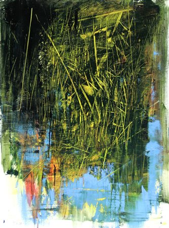 PEDRETTI, Antonio, Percorsi naturali