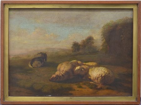 Ignoto francese del XIX Secolo "Pascolo" olio su tavola (cm 28.5x40) In cornice