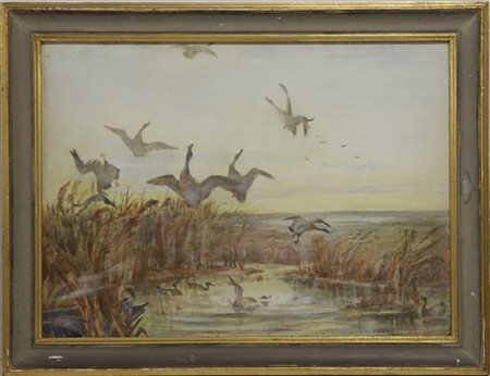 ignoto "Anatre nello stagno" acquarello su carta applicata su cartone pressato