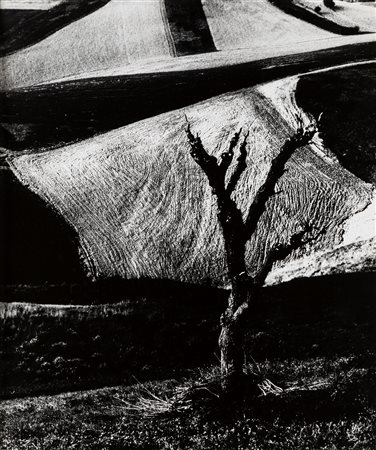 Giacomelli, Mario (1925-2000)  - Materia e luce nella mia terra, 1964