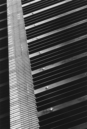 Della Porta, Patrizia (1954)  - Tokyo, 1984