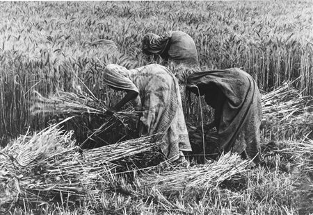Berengo Gardin, Gianni (1930)  - India, 1977/1979