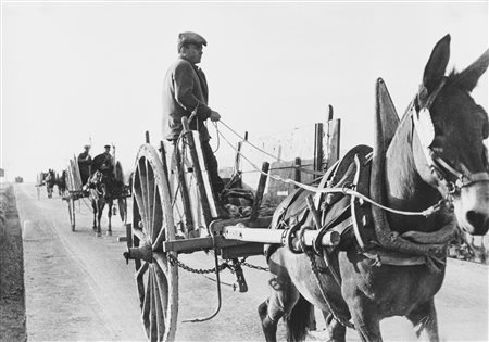 Carbone, Mario (1924)  - Lucania, 1960