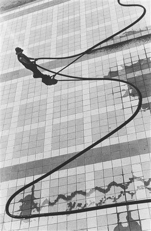 Moncalvo, Riccardo (1915-2008)  - Serpe d'acqua, 1938