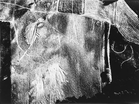 Giacomelli, Mario (1925-2000)  - Presa di coscienza sulla natura, 1980s