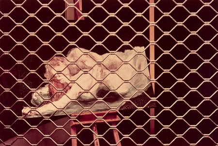 Ghirri, Luigi (1943-1992)  - Parigi, dalla serie "Still Life", 1977