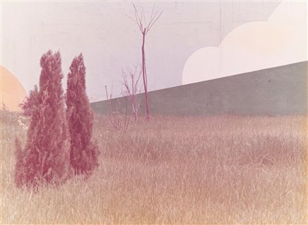 Ghirri, Luigi (1943-1992)  - Modena, dalla serie "Colazione sull'erba", 1974