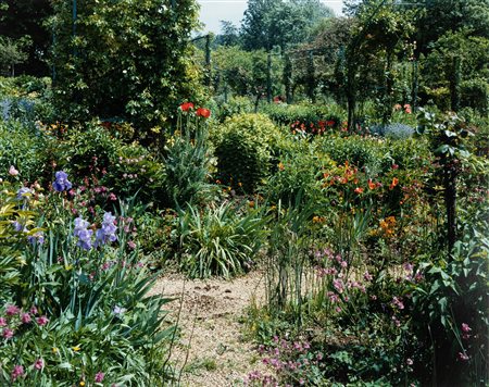 Shore, Stephen (1947)  - Dalla serie "Giverny", 2002