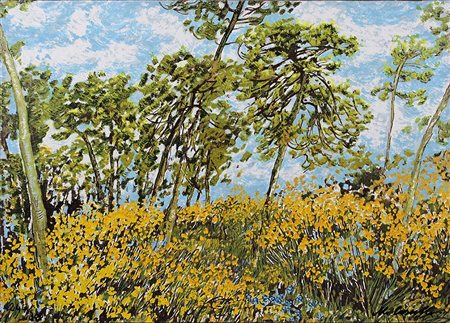 MICHELE CASCELLA, "Ginestre a San Luigi", 1984