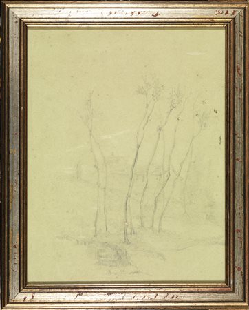 Anonimo, sec. XIX PAESAGGIO CON ALBERI matita di grafite su carta verde...