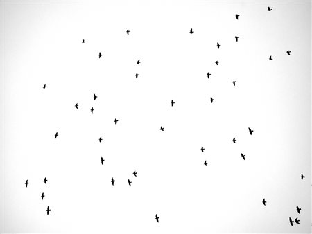 LUCIANI NICOLA Ferrara (FE) 1972 Senza titolo 1 2021 Fotografia digitale su...