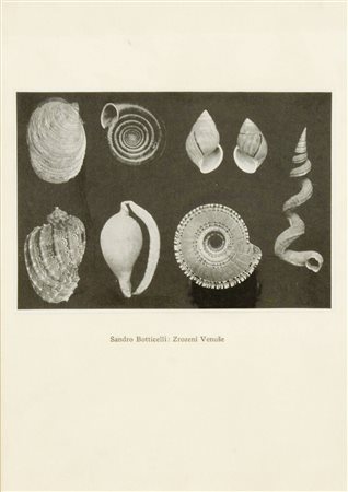 Jiri Kolar, Collage, 1961/63