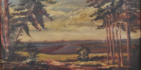 Autore non identificato  del XX secolo